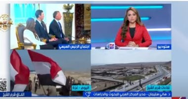 خبير: الدور المصرى تجاوز الوساطة.. ونجح فى تحقيق أهداف رئيسية فى غزة