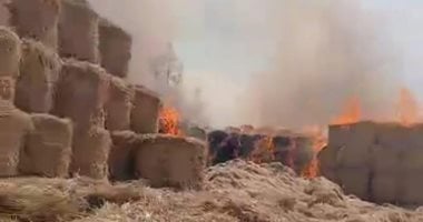 إخماد النيران فى مجمع لتخزين قش الأرز بكفر الشيخ.. مباشر