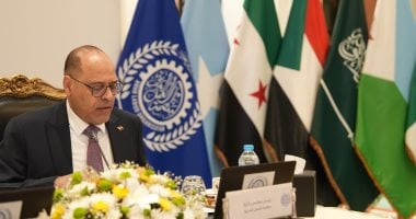 مصر رئيسا لمجلس إدارة منظمة العمل العربية بالإجماع للعام الثاني على التوالى