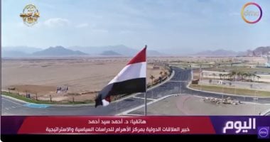 خبير علاقات دولية: مصر صمام الأمان للقضية الفلسطينية ونجاحها فرض واقعًا جديدًا