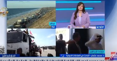 خبير علاقات دولية: ثبات الموقف المصري وحرفيته فرض احترام واشنطن في أزمة غزة