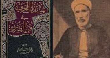 حسين السيد يكتب: الشيخ أحمد الحملاوى .. ابن قرية ميت حمل