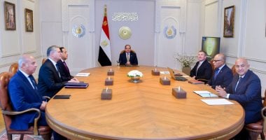 الرئيس السيسى: الدولة توفر الكثير من المزايا والحوافز للمستثمرين الأجانب والمحليين