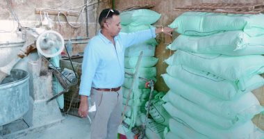 تحرير 139 مخالفة تموينية لمحال ومخابز خلال حملات مكبرة فى الإسماعيلية