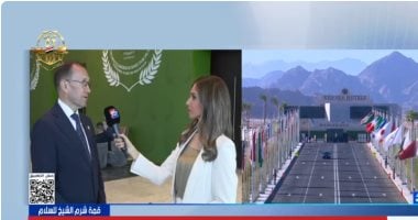 وزير الخارجية النرويجي: مصر أدت دورا حاسما في التوصل إلى وقف إطلاق النار