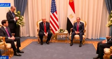 الرئيس السيسى لـ ترامب: نريد استكمال وقف إطلاق النار فى غزة