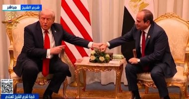 الرئيس السيسى: نطالب الرئيس ترامب بدور كبير فى إعادة إعمار غزة