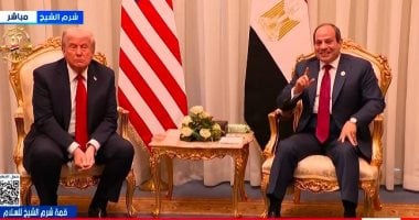 ترامب: أتمنى انضمام الرئيس السيسي إلى مجلس السلام لإدارة غزة