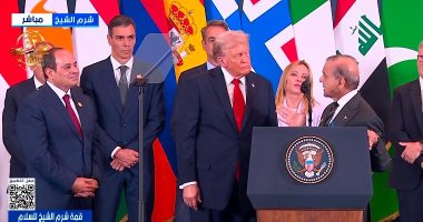 رئيس وزراء باكستان: قمة شرم الشيخ حققت السلام في غزة