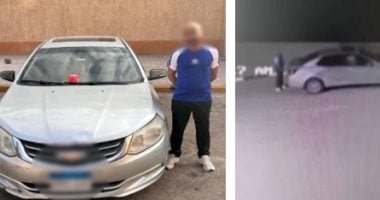 ضبط سائق وضع طعامًا مسمومًا للكلاب الضالة بمنطقة حدائق الأهرام