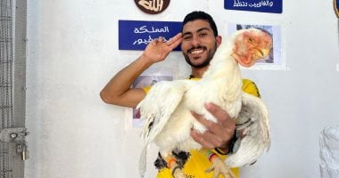 أحمد من الدقهلية عشق تربية الطيور النادرة.. يمتلك 15 سلالة دواجن عالمية