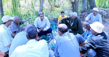 وكيل زراعة كفر الشيخ: نستعد لزراعة 250 ألف فدان قمح بزيادة 15 ألفا عن العام الماضى