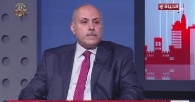 أستاذ علوم سياسية: مصر أثبتت أنها ركيزة الاستقرار والسلام بالمنطقة