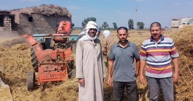 لجان ميدانية لمتابعة حصاد الأرز بالشرقية