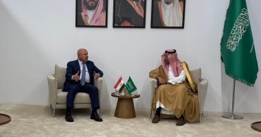 نائب رئيس الوزراء: السعودية من أكبر الدول المستثمرة في مصر