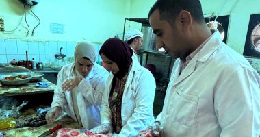 حملات مكثفة للطب البيطرى بسوهاج لضمان سلامة اللحوم وصحة المواطنين