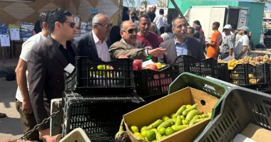 افتتاح سوق اليوم الواحد بمدينة طور سيناء بتخفيضات 30%