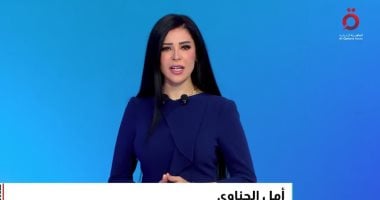 أمل الحناوى: اتفاق شرم الشيخ نجح فى غلق صفحة أليمة بتاريخ البشرية