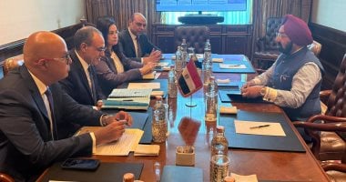 وزير الخارجية يلتقى رئيس مجموعة شركات Sun الهندية
