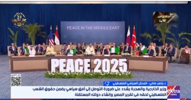 ماهر صافى: الدولة المصرية ماضية فى الوقوف بجانب الشعب الفلسطينى