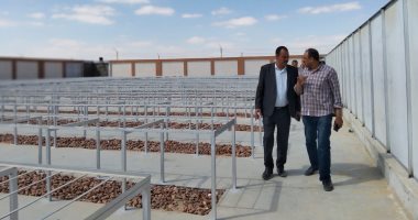 وضع حجر الأساس للمركز المتكامل لخدمات النباتات الطبية والعطرية ببنى سويف غدا