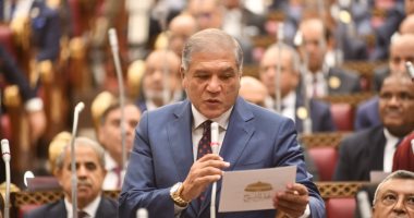 عفت السادات عضو مجلس الشيوخ: أركز على الملف الاقتصادي ودعم مسيرة التنمية