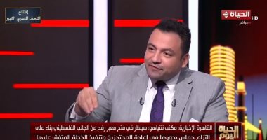 أستاذ علاقات دولية: إصرار مصر على إدخال المساعدات أفشل مخطط إسرائيل