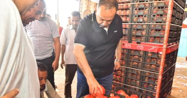 محافظ أسيوط يتابع منظومة تجهيز وتصدير "الذهب الأحمر" بقرية بويط بساحل سليم