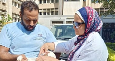 حملة مكبرة لتحصين الكلاب ضد السعار بمجمع الكليات الطبى بطنطا