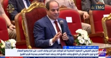 خبير علاقات دولية: الرئيس السيسى أكد على ثوابت الموقف المصرى من قضايا المنطقة