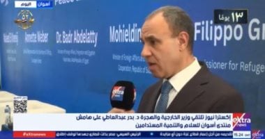 وزير الخارجية: وثيقة استخلاصات أسوان ترسم خريطة العمل المشترك في أفريقيا