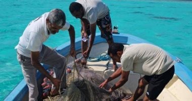 حملة مكثفة لإزالة شباك الصيد من محمية الجزر الشمالية بالبحر الأحمر.. تفاصيل
