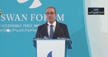 وزير الخارجية: أفريقيا قارة حيوية غنية بمواردها وقادرة على الصمود أمام الأزمات