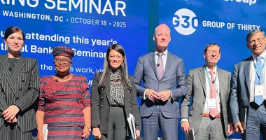 وزيرة التخطيط تناقش هيكلة النظام المالى العالمى بجلسة نقاشية لـ«مجموعة الثلاثين»