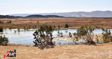 بحيرات فى حضن الجبل.. وادى مليحة أو كبة النخلة واحة طبيعية فى قلب صحراء الغردقة