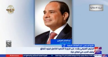 خبير: مصر تضع القضية الفلسطينية على أولوية أجنداتها فى سياستها الخارجية