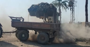 رفع تراكمات قمامة وتشجير طرق.. مبادرة ذاتية من أهالى قرية فى قنا 