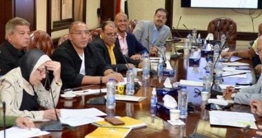 تعزيز التحول الرقمى والتدريب أولوية فى أولى جلسات اللجان الفرعية لتطوير الإعلام