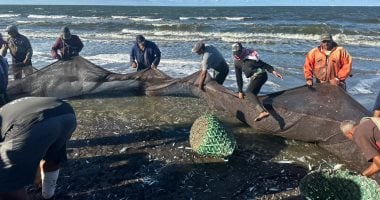 الرزق كتير.. رحلات الصيد فى بورسعيد تحمل الخير للصيادين.. صور