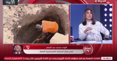 محمد عبد المنعم: التحركات المصرية والأمريكية تسعى لتثبيت وقف إطلاق النار