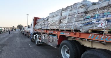 الهلال الأحمر المصرى يدفع بـ240 ألف سلة غذائية عبر قافلة زاد العزة إلى غزة