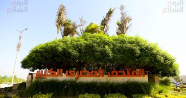 زهور ونباتات نادرة.. تشجير محيط المتحف المصرى الكبير استعدادا للافتتاح