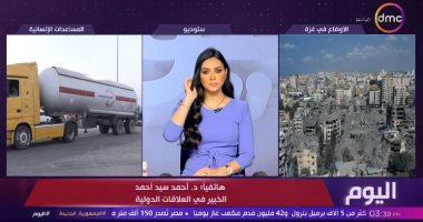 خبير علاقات دولية لـ اليوم: مصر تسعى لتحويل الهدنة إلى مسار سياسى يفضى لحل الدولتين