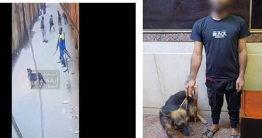 ضبط شخص يروع المواطنين بكلب وسلاح أبيض فى الجيزة  