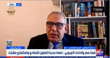 خبير: مصر حسنت كثيرا فى مناخ الاستثمار ومنحت حوافز ضريبية وجمركية للأجانب
