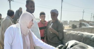 بيطري كفر الشيخ: حملات تحصين بسوق المواشي ولا أمراض وبائية
