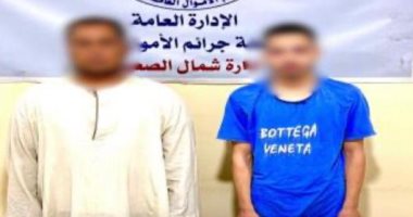 سقوط محتالين استوليا على بيانات بطاقات المواطنين بالمنيا