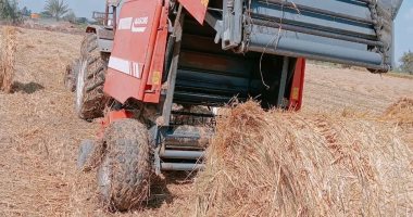 تجميع 40.8 ألف طن قش أرز منذ بدء موسم الحصاد بالشرقية