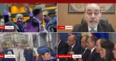 مساعد وزير الخارجية المصري: الاتحاد الأوروبي أصبح شريكًا اقتصاديًا بمعنى الكلمة لمصر