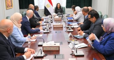 المنظمة الدولية للهجرة تشيد بجهود مصر لاتفاق السلام ووقف إطلاق النار فى غزة